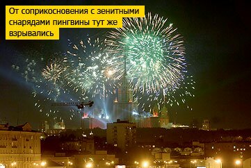 Салют