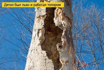 На акцию «Вырви руку сам себе» пришло нет так много желающих, как хотелось. Иван Толкунофф