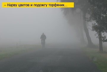 Нарву цветов