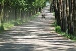 MAXIM на международном турнире по гольфу - 15